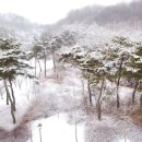 03 Mar. 2024- 3월에 찿아온 설경(雪景)을 남긴 영상 이미지