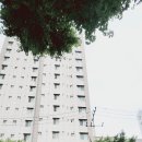 동양캐슬공인중개사사무소 이미지