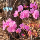 그린씨티
