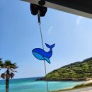 감성을 담은 라탄공예교실 | 서귀포원데이클래스 귤라탄트레이 동백도어벨