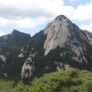 성인 태극권 이미지