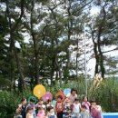 숲중앙어린이집 이미지