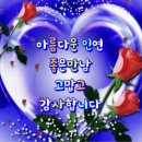 고반대 | 제주 웨딩스냅 &lt;렛츠고피크닉&gt;촬영 후기 보정본 사진 (내돈내산 솔직 후기)