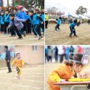 아포초등학교 이미지