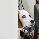 보니따피부관리 이미지