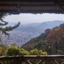 사주명리학여행 이미지