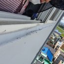 제일아파트 이미지