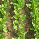 연우농장 이미지