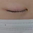 브로우띵 브로우바 눈썹왁싱 속눈썹 서면부전점 | [전포] 서면 전포 노글루 속눈썹펌 솔직후기 : 뷰티스튜디오 전포차이