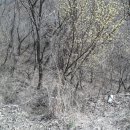 수안보면사무소 이미지