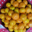 김재성농장 이미지