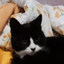 정종합동물병원 이미지