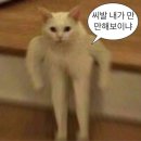 남현동-45 | [서울/사당] 청송산오징어