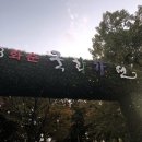 화순고 | 2018년 화순국화향연, 화순 불타는 조개구이 후기