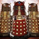 새샘태권도 이미지