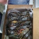 부연상사 이미지