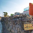 제주코기네 이미지