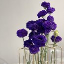 경상도집 이미지