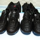 유로보이지 이미지