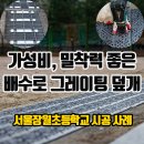 서울장월초등학교 이미지