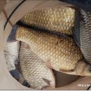 덕곡낚시터 이미지