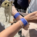 2026 메가주 방문 후기, 꿀팁 무료 주차