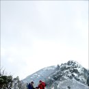엄상궁 - 울주군 | 엄상궁