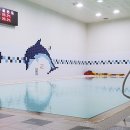 화성국민체육센타 이미지