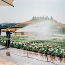 순천동산여자중학교 이미지