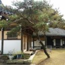 초락당한의원 이미지