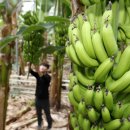 산청상회 이미지