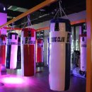 복싱피플 이미지