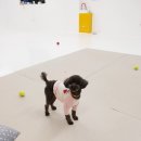 가모스타그램 이미지