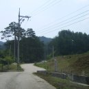 양양명주사부도군 Daum카페