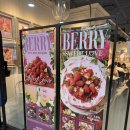 롯데마트 광복점 앞 | 애슐리퀸즈 딸기축제 평일점심 리얼후기 | 애슐리퀸즈 롯데마트광복점 웨이팅현황, 꿀팁
