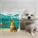 멍멍친구들 | 강아지 배변패드 국제 멍멍패드 소변 샐 걱정 없는 흡수력 쩌는 배변판