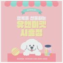 펫스토리 | 부천에서 만난 사랑스러운 친구 – 부천비숑분양 후기