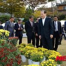 국화향기 이미지