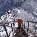 하얀나라 이미지