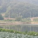 도인농장 이미지