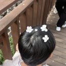 진해구 ⓐ-27 | [진해] 진해군항제를 즐기는 방법 𐔌♫ྀི𓈒 ݁⋆ (벚꽃명소, 경화역, 여좌천로망스다리)