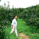 박현순 농장 이미지