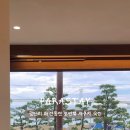 파라스테이 이미지