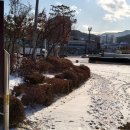 흰털바위광장 이미지