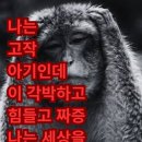 별밤식당 네이버블로그