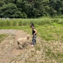 지율목장 이미지