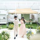 오션빌리지하우스 이미지