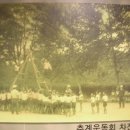 삼호초등학교 이미지