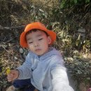 새노래.숲나들이(꽃4.7) 이미지