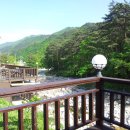 모리의 언덕 이미지